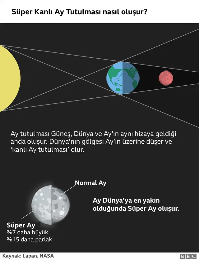 Ay tutulması şeması