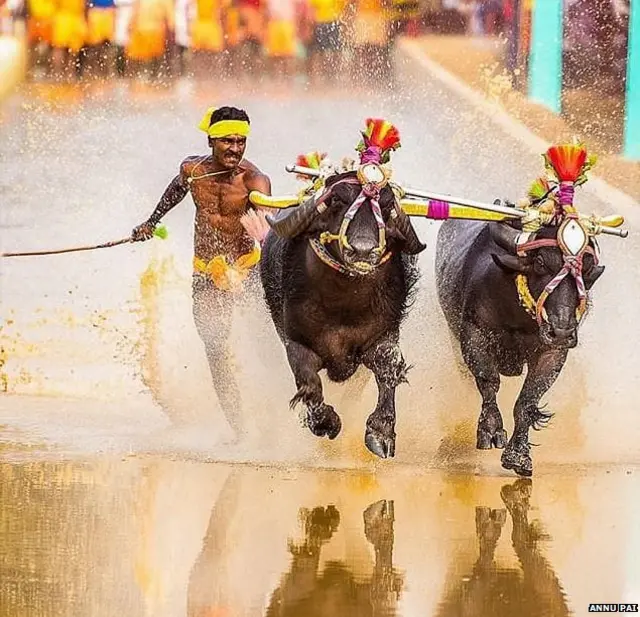 श्रीनिवास गौड़ा