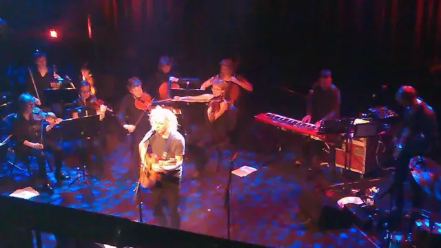 Модди на концерте