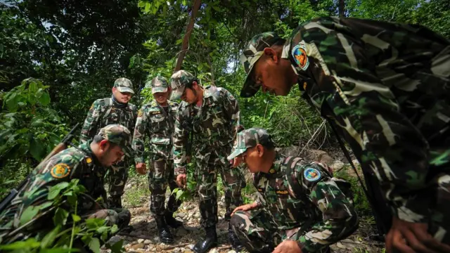 การลาดตระเวนของหน่วยพิทักษ์ป่า