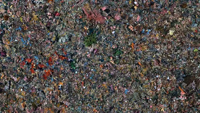 Коралловая стена в Пенге #1, Национальный парк Комодо, Индонезия, 2017 г. Фото Эдварда Буртинского (Flowers Gallery, London/Metivier Gallery, Toronto)