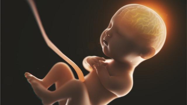 Ilustración de un bebé en el útero.