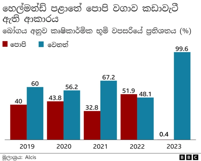 Graph: How poppy cultivation in Helmand has fallen (shows drop from 51.9% of crops in 2022 to 0.4% in 2023)