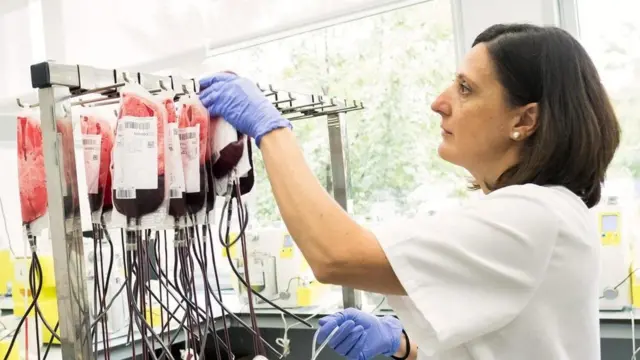 hastanede kan torbaları tutan hemşire