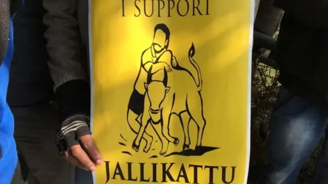 जल्लीकट्टू