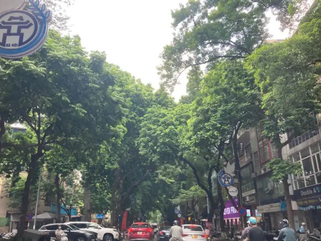 Đường phố Hà Nội
