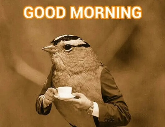 గుడ్ మోర్నింగ్ మెసేజ్