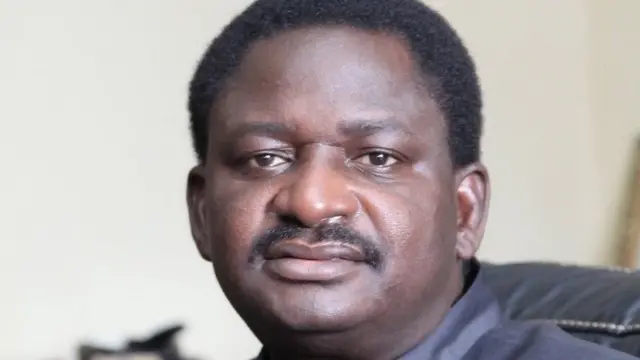 Femi Adesina