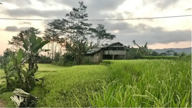 Bii'adii xayawaanaka waxaa ku soo durkay dadkii oo beertay