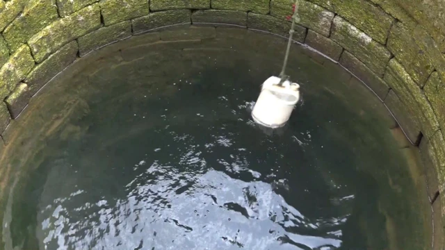 దొడ్డి కుంట గ్రామం, కవలల గ్రామం