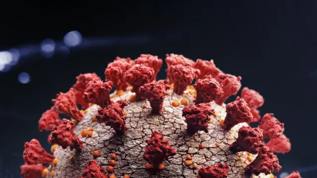 கொரோனா வைரஸ்