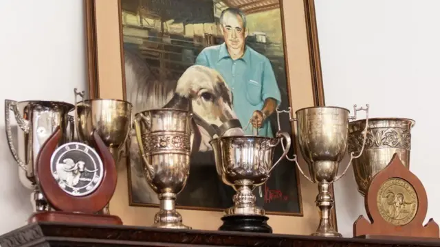 ક્રિષ્ના સાંઢ માટે મળેલા એવોર્ડસ