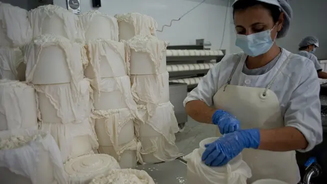 fabrica de queso en España