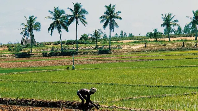 உணவுப் பாதுகாப்பு