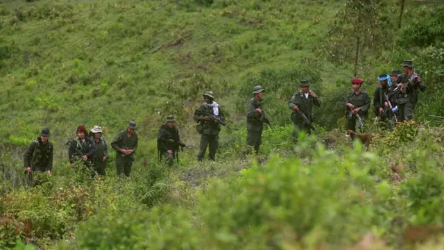 Miembros de las FARC en la selva de Colombia.