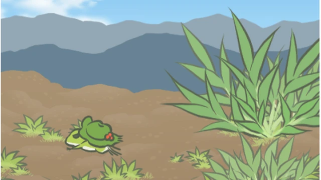 The frog travels in a desert
