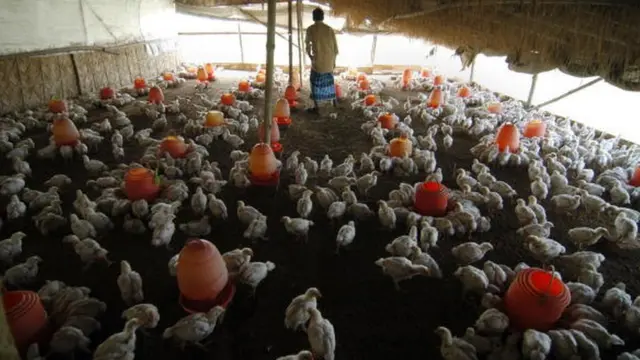 પ્રતિકાત્મક તસ્વીર