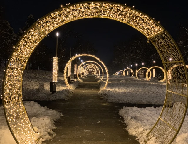 Beograd, 20. decembar 2018.