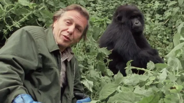 เซอร์ เดวิด แอตเทนบะระ