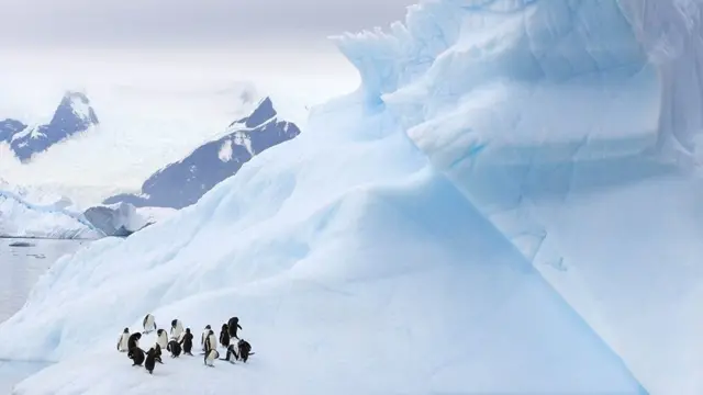 பருவநிலை மாற்றம்