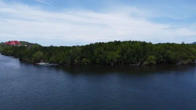 hari air sedunia, papua, hutan perempuan, hari hutan, teluk youteva