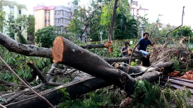 কলকাতায় গাছ পড়ে শহরটা জঙ্গলের চেহারা নিয়েছে