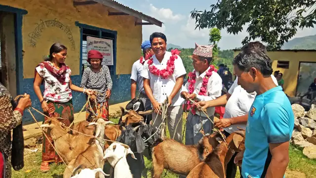 बाख्रा