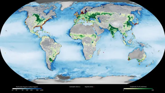Diversas zonas hipóxicas en el mundo