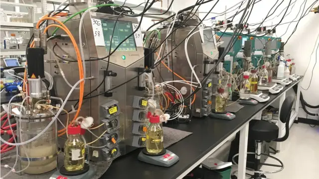 Команда Impossible Foods навчилася імітувати не лише смак, але й текстуру м'яса