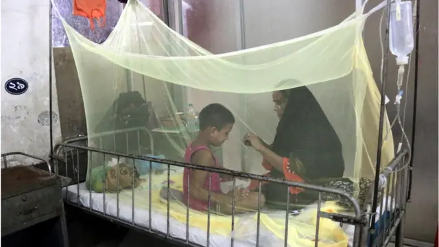 ডেঙ্গু রোগী