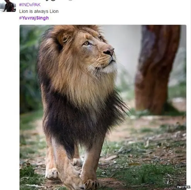 क्रिकेट, चैंपियंस ट्रॉफी, पाकिस्तान, भारत, विराट कोहली, युवराज सिंह, रोहित शर्मा, हार्दिक पंड्या