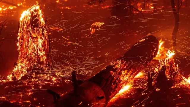 حرائق غابات كاليفورنيا