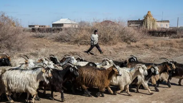 农民对灌溉用水的需求，令恢复南咸海变得很复杂