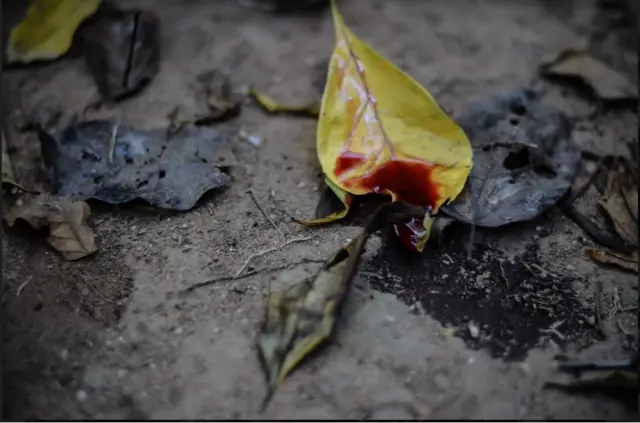 Gotasroleta crazy timesangue sobre folha caída na terra, simbolizando um ritual chamado Plantar a Lua