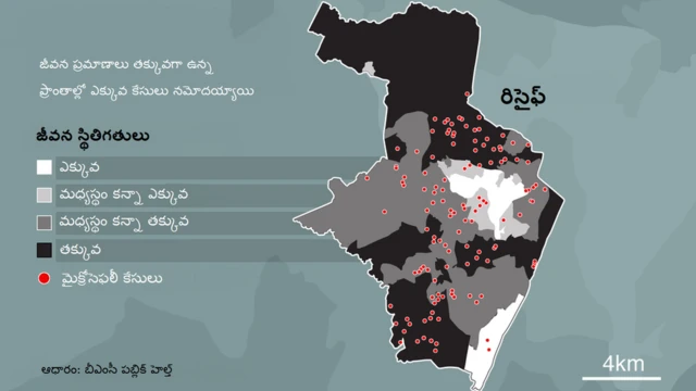 జికా ప్రేమ కథలు
