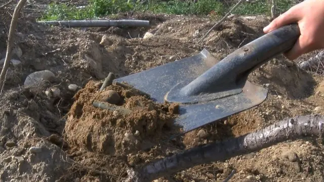 На месте боев в Ленинградской области