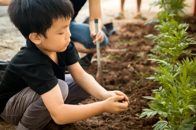 కార్బన్ డయాక్సైడ్, వాతావరణ మార్పులు