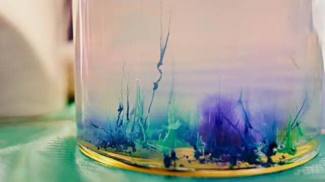 Наукові пікніки