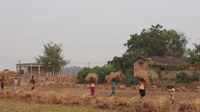 नितीश कुमार, बिहार, शेती, कृषी कायदे