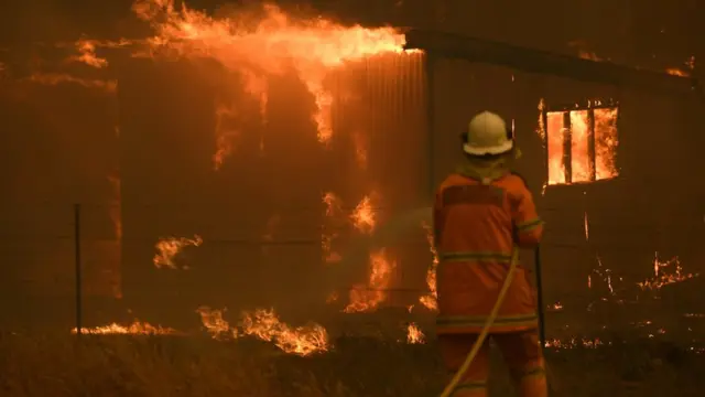 نیو ساوت ولز