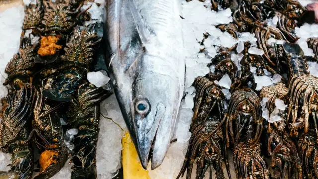 Des poissons et des fruits de mer sont disposés sur la glace dans un marché aux poissons, à Hurghada, en Égypte.
