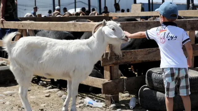 Эчки ва бола