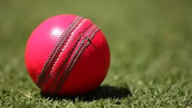 ஈடன் கார்டனில் 'பிங்க்' நிற திருவிழா