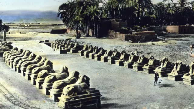 "طريق الكباش"