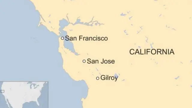 लसूण, अमेरिका