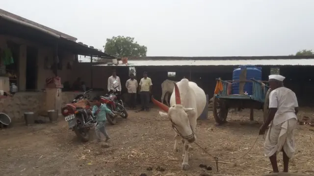 నీరవ్ మోదీ మోసం