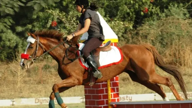 मारवाड़ी घोड़ा