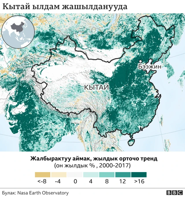Кытай жашылданууда