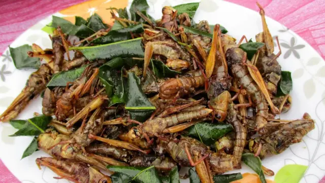 Fried Grasshoppers