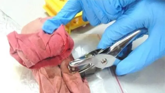 सॅनिटरी पॅड्स